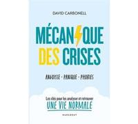 Mécanique des crises David A. Carbonell (Auteur)