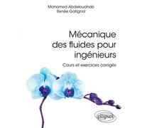Mécanique Des Fluides Pour Ingénieurs - Cours Et Exercices Corrigés