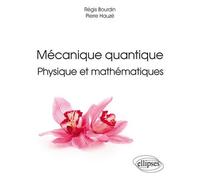 Mécanique Quantique Physique Et Mathématiques