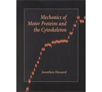 Mechanics of Motor Protein and the Cytoskeleton