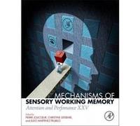 Mechanisms of Sensory Working Memory - [Version Originale] Pierre Jolicoeur, Christine Lefebvre, Julio Martinez - Trujillo, (Auteur)