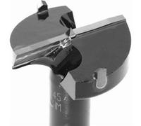 Mèche à façonner au carbure Ø 68 mm, longue FAMAG - 1661.068 G