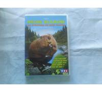 Mèche Blanche, Les Aventures Du Petit Castor