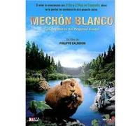 Mèche Blanche: les aventures du petit castor / Mechon Blanco: las aventuras del pequeño castor (DVD) G