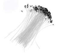 Mèches de bougies cirées (20 cm) 100 pcs Blanc XR05