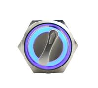 MECHURA Commutateur Rotatif Interrupteur à Bouton-Poussoir Rotatif éclairé en métal, 22 mm, 2 ou 3 Positions, avec LED, étanche, 5 V, Rouge, Vert, Blanc(Bule LED,MOMENTARY_2 Position_220V)