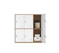 MECOLOR 4.6.9 Portes Armoire de Bureau en métal employés utilisant de Petits casiers Chambre Cube casier, Salon et casier Scolaire, casier à la Maison Armoire de Rangement pour Enfants (White,6D)