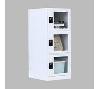 MECOLOR Petit casier Vertical à Un Niveau avec Serrure à Cadenas, Porte en Plastique, 2 ou 3 Compartiments de Rangement pour employés, Maison, Bureau, école, Enfants (FWH, G3V)