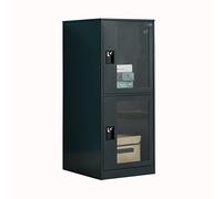 MECOLOR Petit casier vertical à un niveau avec serrure à cadenas, porte en plastique, 2 ou 3 compartiments de rangement pour employés, maison, bureau, école, enfants (GY, G2V)