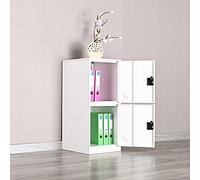 MECOLOR Petit casier Vertical à Un Niveau avec verrou à Cadenas, 2 ou 3 Compartiments de Rangement pour employés, Maison, Bureau, école, Enfants (FWH, P2V)