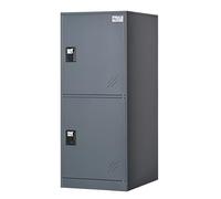 MECOLOR Petit casier Vertical avec Cadenas, Petit casier pour la Maison, casier de Gym, Armoire de Rangement pour Bureau, casier de Rangement à 2 ou 3 Niveaux (Gris, P2V)