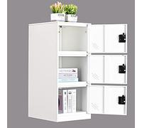 MECOLOR Petite Armoire de Rangement Verticale avec Cadenas 2 ou 3 Compartiments - Espace de Rangement pour employés, familles, Bureaux, écoles et supermarchés (FWH, P3V)