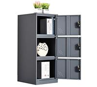 MECOLOR Petite Armoire de Rangement Verticale avec Cadenas 2 ou 3 Compartiments - Espace de Rangement pour employés, familles, Bureaux, écoles et supermarchés (GY, P3V)