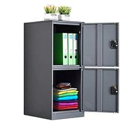 MECOLOR Petite Armoire de Rangement Verticale avec Cadenas 2 ou 3 Compartiments - Espace de Rangement pour employés, familles, Bureaux, écoles et supermarchés (GY, P2V)
