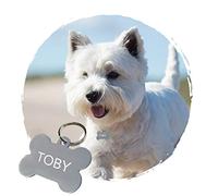 Medaille Chien avec Gravure Personnalisé - Médaille Personnalisable OS en Aluminium 32 x 19 mm - Coloris Argent