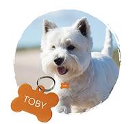 Medaille Chien avec Gravure Personnalisé - Médaille Personnalisable OS en Aluminium 32 x 19 mm - Coloris Orange