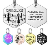 Medaille Chien avec Gravure personnalisée - YEHANTI Acier Inoxydable Médaille Chien et Chat Hexagone Identification Gravure Prénom Adresse Tel avec gravure de motif personnalisée (S, Argent)