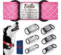 Médaille Chien Silencieuse Personnalisée - Plaque Identification Acier Inoxydable Gravure Laser avec Silicone Anti-Bruit pour Petit Moyen Grand Chien et Chat - Silent Dog Tag