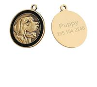 Médaille d'identification personnalisée for Chien, Plaque Golden Retriever, Accessoires de Collier rétro, nom DIY, for Colliers et pendentifs(C Labrador)