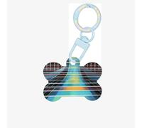 Médaille d'identification pour animal domestique Quantum Wave photopléthysmographie personnalisée pour chien et chat, en acrylique en forme d'os, bleu ciel, taille M