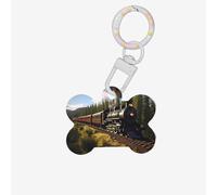 Médaille d'identification pour animaux de compagnie Service Train - Étiquettes d'identification mignonnes et élégantes pour un usage quotidien et les voyages, adaptées pour les chiens de petite et