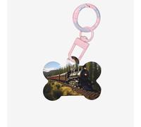Médaille d'identification pour animaux de compagnie Service Train - Étiquettes d'identification mignonnes et élégantes pour un usage quotidien et les voyages, adaptées pour les chiens de petite et