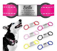 Médaille d'identification silencieuse à glisser pour animal domestique en acier inoxydable avec bande élastique en silicone pour chat et chien, plaque d'identification silencieuse gravée
