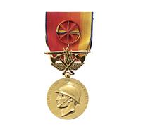 Médaille pour Services Exceptionnels des Sapeurs-Pompiers Vermeil | Décoration Honorifique | Distinction de Reconnaissance et de Dévouement - SEV