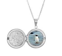Médaillon Antarctique Saint Océan Pingouin Science de la Nature pour tenir une photo Bijoux Cadeau d'anniversaire