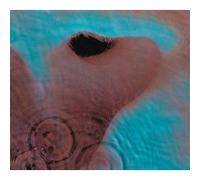Meddle