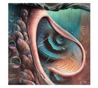 Meddle Reimagined - A Tribute To Pink Floyd Vinyle Coloré