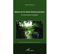 Medecine chez les Yanesha d'Amazonie péruvienne: La traversée par les plantes