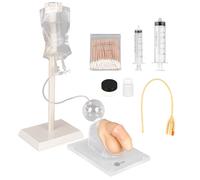 MedEduQuest Ensemble de Simulateur de Cathétérisme Masculin, Modèle d'insertion de Cathéter pour étudiants en Médecine ou Infirmières