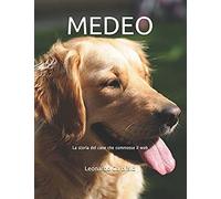 Medeo: La Storia Del Cane Che Commosse Il Web