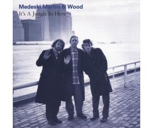Medeski - It's a Jungle in Here