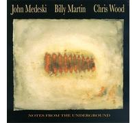 Medeski, John - Notes from The Underground