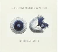 Medeski, Martin - Radiolarians 1