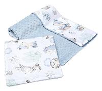 Medi Partners Couverture bébé avec Oreiller 100% Coton Minky pour Enfants Bilatéral 75x100 + 35x30cm Ensemble Multifonctionnel pour Un lit