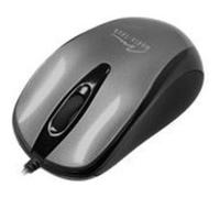 Media-Tech PLANO MT1091T - Souris - optique - 3 boutons - filaire - USB - titane G