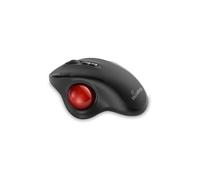 MediaRange MROS263 souris Maison Droitier USB Type-C Trackball 2400 DPI