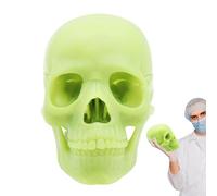 Medical Skull Model 15-Part Detachable | PVC, 14.6x10.2x8.7cm, 1:2 Scale | Human Head Skeleton For Anatomy Teaching & Study | Color Coded Or Natural Bone Medical Student Learning Tool