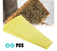 Médicament apicole contre les varroas, set de 40 pièces Manhao Fluvalinate Stripes