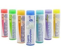 Médicament > Homéopathie > Doses homéopathiques Boiron Eugenia Caryophyllata Dose - Doses homéopathiques - Pharmacie en ligne LaSante.net