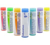 Médicament > Homéopathie > Doses homéopathiques Boiron Influenzinum Dose (souche 2024/2025)