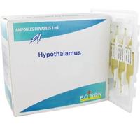Médicaments sans ordonnance > Homéopathie > Ampoules homéopathiques Boiron Hypothalamus Ampoules x 30