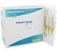 Médicaments sans ordonnance > Homéopathie > Ampoules homéopathiques Boiron Intestin Grele Ampoules - Ampoules homéopathiques - Pharmacie en ligne LaSante.net