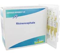 Médicaments sans ordonnance > Homéopathie > Ampoules homéopathiques Boiron Rhinencephale Ampoules 7CH x 30