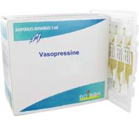 Médicaments sans ordonnance > Homéopathie > Ampoules homéopathiques Boiron Vasopressine Ampoules 15CH x 30