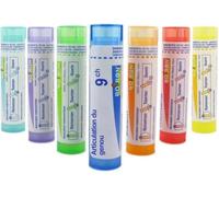 Médicaments sans ordonnance > Homéopathie > Granules homéopathiques Boiron Articulation du genou Granules