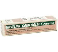 Médicaments sans ordonnance > Médicaments pour le nez et les oreilles > Médicaments contre le rhume Vaseline Goménolée 5% Pommade 15 g